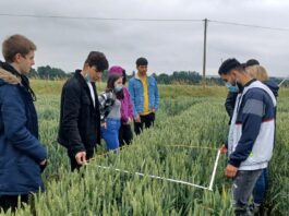 Bauernhof wird zum Lernort