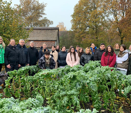 Vom Garten frisch auf den Teller