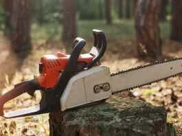 Motorsägenpause bis Ende September