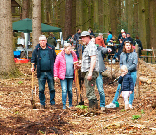 Frühjahrsputz und Pflanzaktion