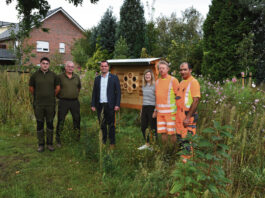 Stadt lässt 95 Obstbäume pflanzen