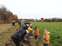 Fertige Feldhecke begrenzt grünes Klassenzimmer