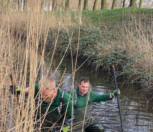 25 Müllsäcke im Zitadellengraben entsorgt