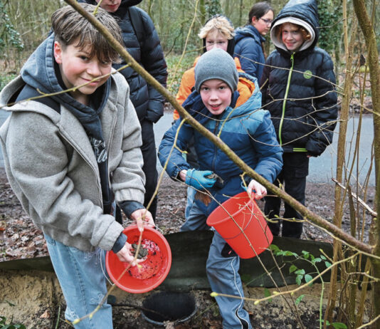 Schülerengagement rettet 18.000 Amphibien