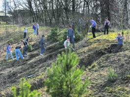 GKS-Schüler schaffen Lebensraum für Silbergras