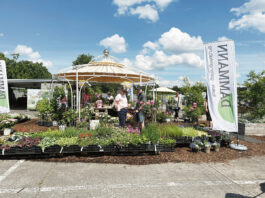 Jubiläum im Ideengarten in Vechta